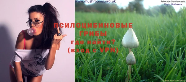 твердый Пестово