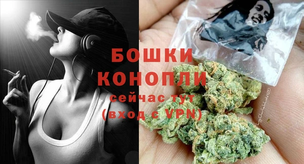 ECSTASY Горняк