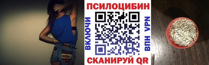 Галлюциногенные грибы Psilocybe  Почеп 